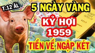 Tiết Lộ 5 Ngày Vàng, Tuổi Kỷ Hợi 1959 Thần Tài Chiếu Cố, trúng số Liên Tục Tháng 12 Âm Lịch