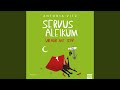 Stockender Verkehr.9 - Servus Aleikum