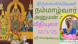 Triplicane Sri Parthasarathy Sri Nammazhwar Hanuman 12/1/25 Sree Vaishnavam