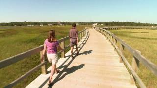 La dune de Bouctouche - New Brunswick, Canada