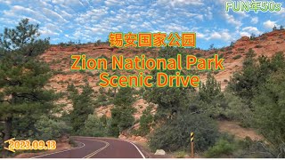 美国国家公园床车游（七）- Zion National Park Scenic Drive 锡安国家公园景观公路，晨光中的远山，近岩，青树，红石