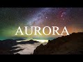 K 391 - RØRY - Aurora (Lyrics)