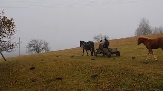 LIFE IN A UKRAINIAN MOUNTAIN VILLAGE