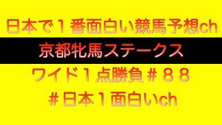 【#京都牝馬ステークス2023】ワイド一点勝負#88