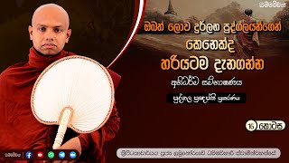 ඔබට මේ ලක්ෂණ තිබේ නම් ලොව දුර්ලභ පුද්ගලයෙක් |අභිධම්ම- 16| Labunoruwe Dhammavihari himi |#abhidhamma