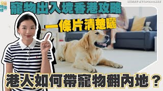 灣區生活丨寵物出入境香港攻略丨港人如何帶寵物翻內地？需要準備咩資料？一條片清楚曬！【cc中文字幕】