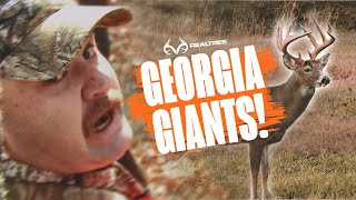 Giant Georgia Whitetails | Realtree Monster Bucks