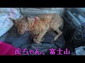 「猟犬と暮らす」week145