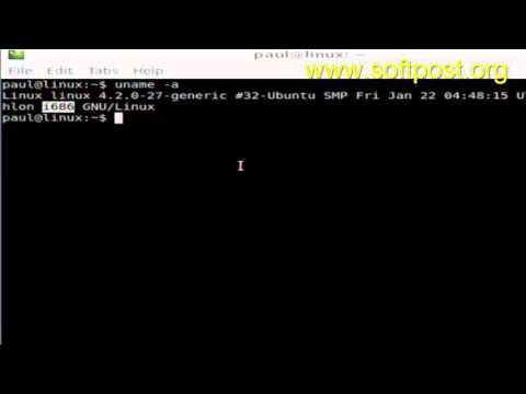 Does Arch Linux support 64bit?