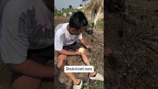 PUNEET SUPERSTAR EATING TATTI #puneetsuperstar #haryana #delhi #viralvideo #memes #crazy