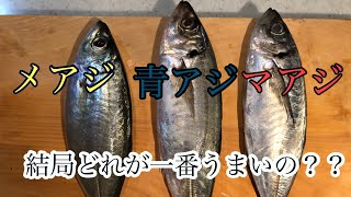 アジを3種類集めて食べ比べした結果が意外すぎた！！！