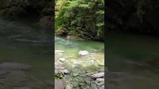 20240712高知県仁淀川町　県立安居渓谷自然公園　水晶淵　仁淀ブルー⑭#高知県仁淀川町#県立安居渓谷自然公園#安居渓谷#仁淀ブルー#水晶淵