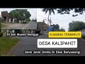 Suasana Terbaru Desa Kalipahit Ternyata Sekarang Musim Mangga Full Depan Mangga Di Pinggir Jalan