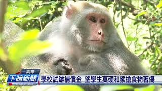 學生捷予猴搶食物 中山大學試辦補償100箍 | 公視台語台 | 20240722