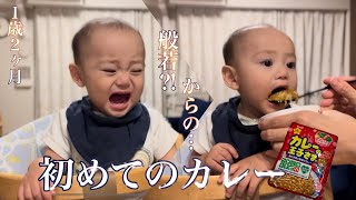 初めてのカレー王子🍛【離乳食267日目】【1歳２ヶ月】