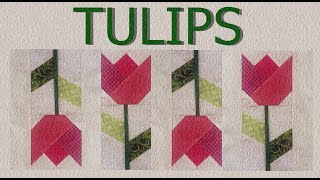 Tulips