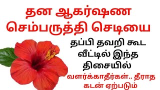 வீட்டில் செம்பருத்தி செடி தப்பித்தவறி கூட இந்த திசையில் வளர்க்காதீர்கள்