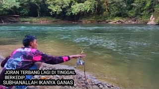 Luar Biasa Baru Lempar joran Langsung Hilang Mancing spot pedalaman hutan