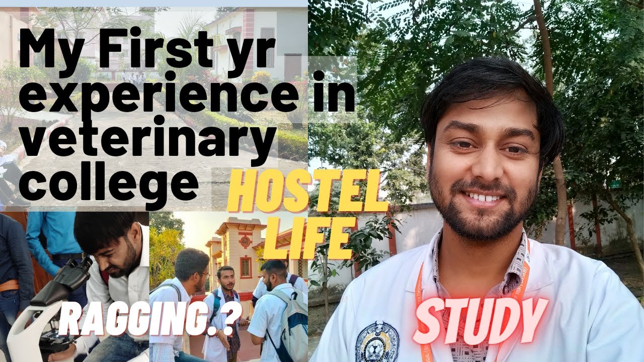 My First Year Experience In Veterinary College |Bihar Veterinary ...