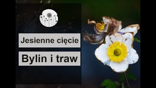 Jesienne cięcie bylin i traw ozdobnych