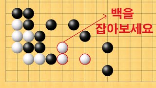 바둑 맥점 사활 - 기상천외 묘수로 백을 잡아보세요