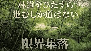 林道を進むしか道はない秘境にある限界集落が凄すぎた