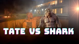 Sharks vs Tate (CRAZY)