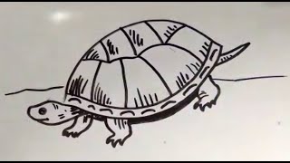 How to Draw a Tortoise Easy | Simple Drawing Lessons for Beginners | Easy Step by Step Drawing