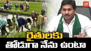 CM YS Jagan Great Speech On Farmers | AP Govt Supports Farmers | YSRCP | AP News | YOYO TV Channel