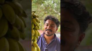 സ്ഥലം മാറി വന്ന യുവാവിന് സംഭവിച്ചത് 🤣🤣 | #hashiree #comedy #comedyshorts