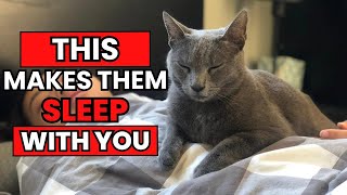 The ACTUAL 8 REASONS Why Your Cat SLEEP With YOU