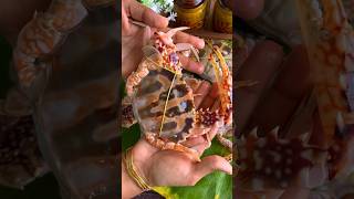 🦀 நண்டு ஈசியா சுத்தம் செய்வது எப்படி🔥🔥 How to clean crab in tamil| Crab cleaning video #shorts