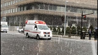 札幌市消防局 菊水救急 雪の中緊急走行 (WAIL) Sapporo Fire Bureau Ambulance Responding