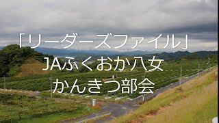 【リーダーズファイル】ＪＡふくおか八女かんきつ部会(福岡県）