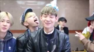 Topp Dogg Funny Moments/ Momentos Divertidos