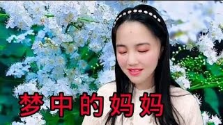 一首感人歌曲《梦中的妈妈》唱出儿女对妈妈的思念