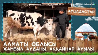 «Ауылдастар». Алматы облысы, Жамбыл ауданы, Аққайнар ауылы