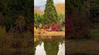 Autumn’s Embrace at Moon Lake｜Beautiful Moon Lake