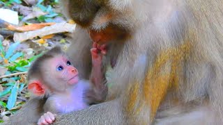 Adorable expression of newborn Lily care mom coz mom tired after give birth, Lily ask mom are u ok?