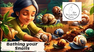 How to Bathe Your Snails for a Healthy Snail Farm | Snail Farming Tips for Beginners | Snail Farming