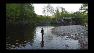 Five Minutes on the Margaree