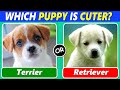 Which PUPPY is Cuter? (Ultimate Dog Lover Challenge)