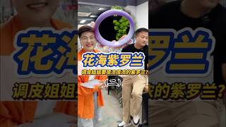 （2）垃圾堆里竟然有很浓很浓的紫罗兰手镯？！货主被薅无可薅了！#翡翠 #翡翠手鐲 #缅甸翡翠 #天然翡翠 #翡翠玉石 #翡翠a玉 #翡翠a貨 #翡翠手镯 #翡翠吊墜 #翡翠挂件