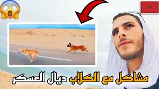 260 |😱نهار كامل والكلاب الشرسة ديال العسكر تابعيني🥵خرجت من بوجدور🥰الطريق إلى الداخلة🇲🇦