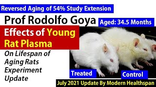 Reverse Aging of 54% Study Extension - Prof Rodolfo Goya's Project  Update July 2021