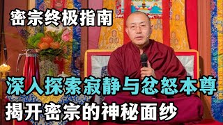 密宗修行的终极指南：深入探索寂静与忿怒本尊，深入探索佛的坛城与内在含义！揭开密宗的神秘面纱！