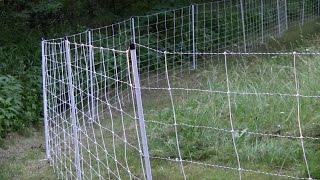 Electric Movable Fencing for Sheep, Goats and Cows