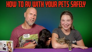 How to RV with your pets safely | Review of Waggle Pet Monitor system