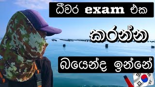 ධීවර වැඩ අමාරුද කියලා කොරියාවේ ඉන්න කෙනෙක්ගෙන්ම අහල දෙනගම korean jobs