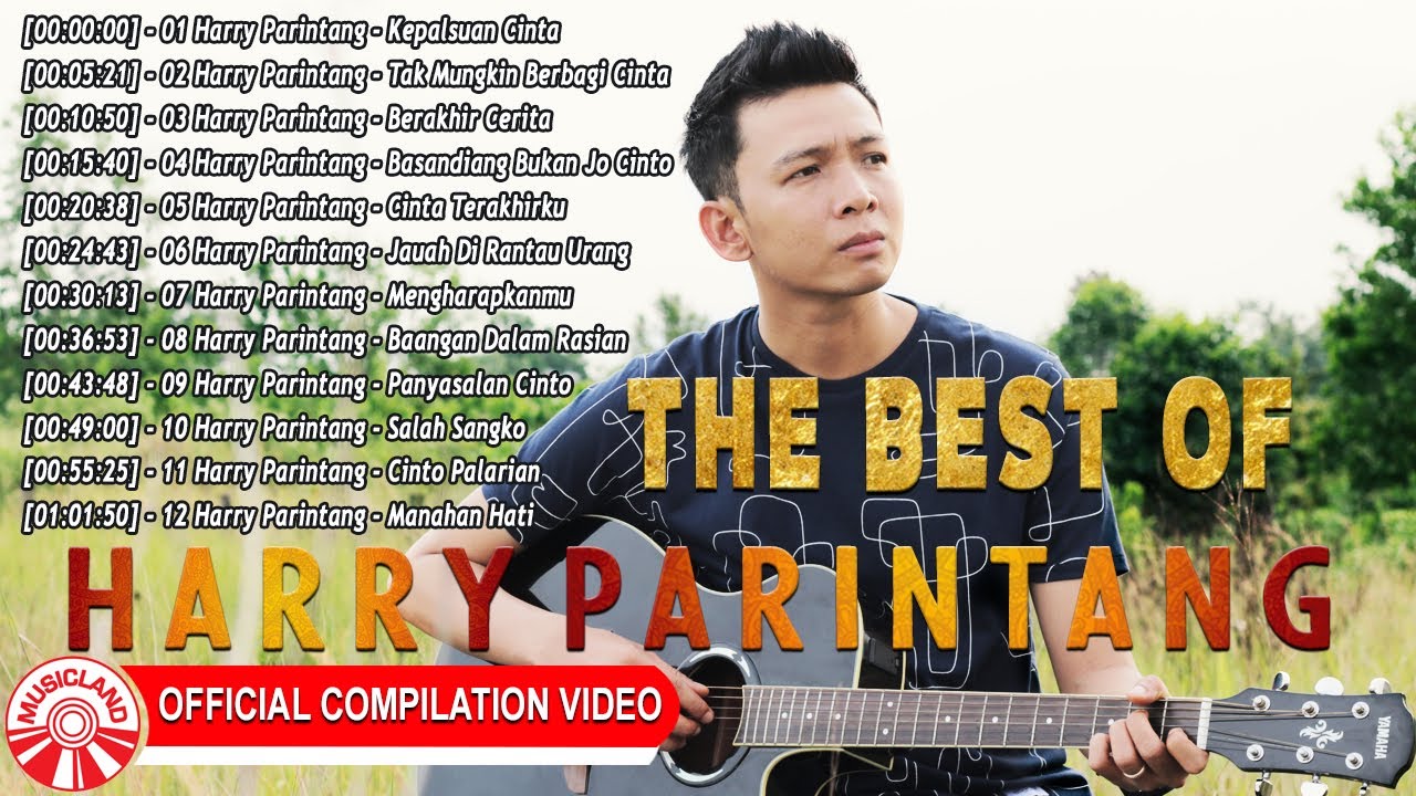 Lagu Baru Harry Parintang - Sam Hunter